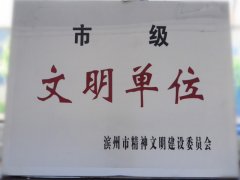 喜訊！公司榮獲“市級(jí)文明單位”稱號(hào)